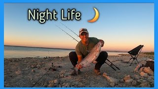 Night Time Catfish MONSTERS/ 3 Big Blue Cats from the Bank