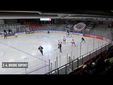 Odense Bulldogs - Herning Bluefox (24/1-21)