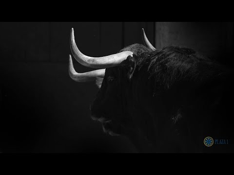 SORTEO | Corrida de toros 8 de mayo