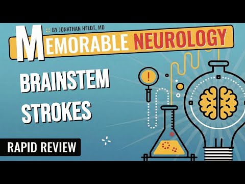 Brainstem Stroke Mnemonics (Memorable Neurology Lecture 15)
