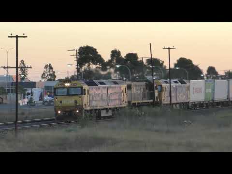 Pacific National Freight - You can always hear when an X Class is in the consist.