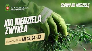 SŁOWO NA NIEDZIELĘ - XVI Niedziela Zwykła Rok A - abp Józef Górzyński - 19.07.2026 r.