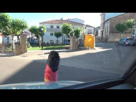 Sanchotello Ledrada Fuentes de Béjar DSA250 Spain Spanien España 5.6.2017 #1612