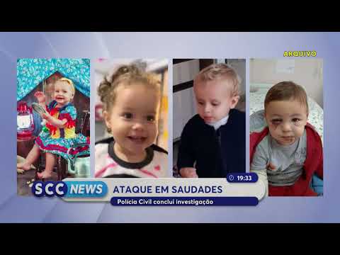 “Ele queria matar o máximo de pessoas”, diz delegado sobre agressor de Saudades