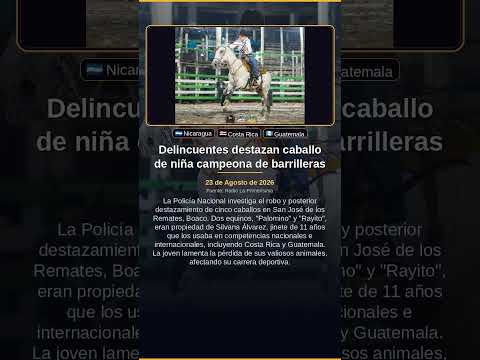 Delincuentes destazan caballo de niña campeona de barrilleras