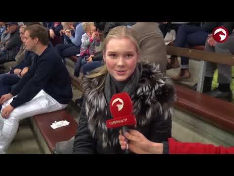 Impressionen | PONYFORUM Hengsttage 2017