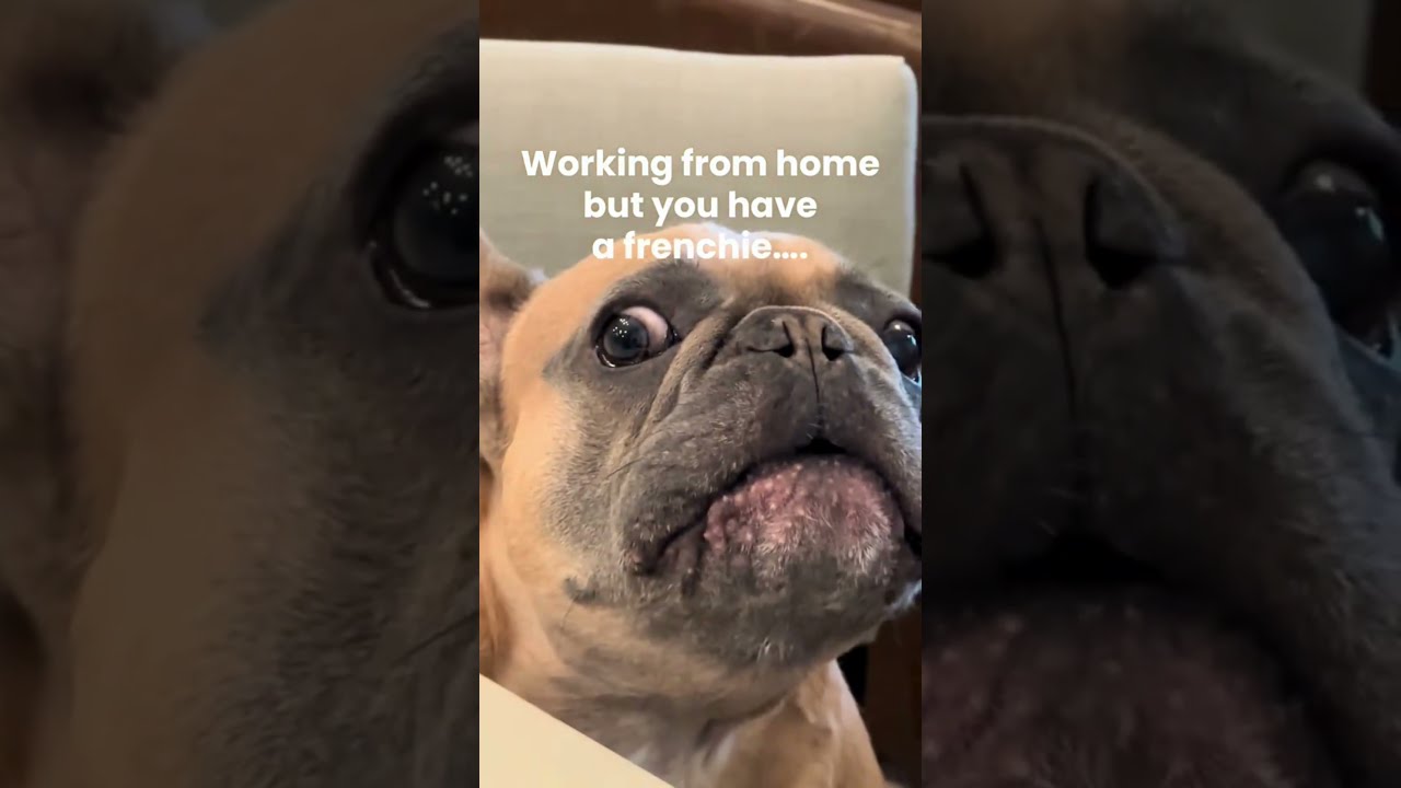 If you know you know…