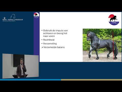 HK 2026 – Theorie van het tuigen | Vereniging het Friese tuigpaard
