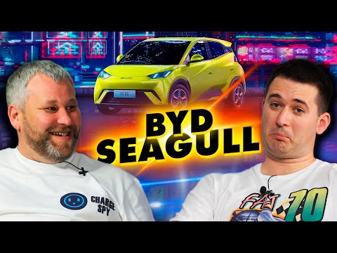 Розмова про BYD Seagull. ТЕРЕВЕНІ
