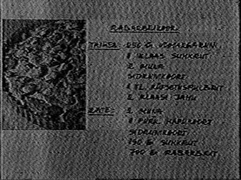 TV-DX / Sporadic E, Eesti TV, Tallin