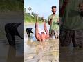 Jay Shiv Shankar Shorts Trending Youtubeshorts Shortvideo Mhadev Shiv