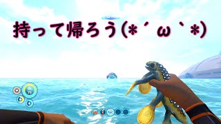 ストーカー×4　カオスな絵面【サブノーティカ】実況＃2