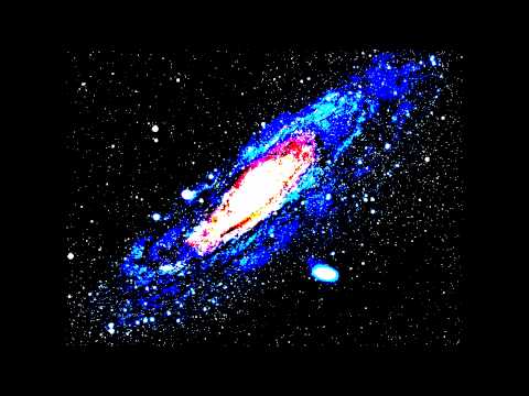 Captain Hook & Neelix Special | Set Prog-Trance