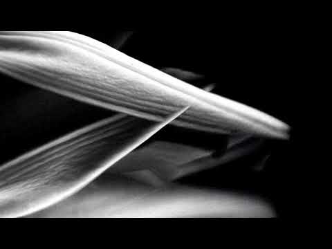 Alessio Pagliaroli - New World feat. Giorgia Angiuli