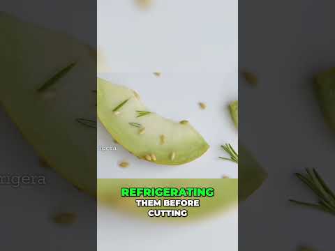 Unlock the Full Nutritional Power of Melons: Expert Tips Revealed