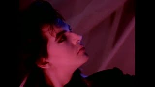 &quot;Election Day&quot; - Arcadia