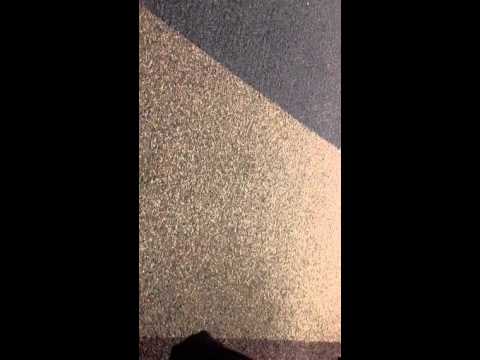 Licorice Licks (Frackenpohl)