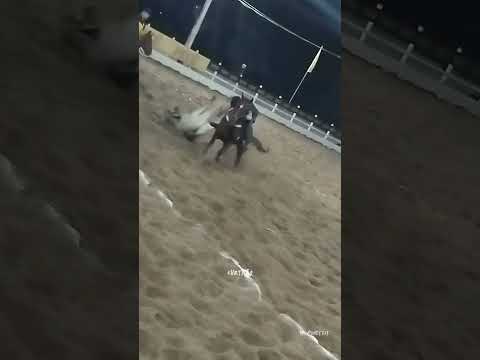 vaquejada parque diamante 💎 inhapi Alagoas