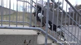 The Zombie Apocalypse Has Begun! WAKE UP!