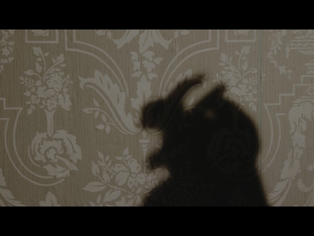  Rabbits Can Swim - Florence Road