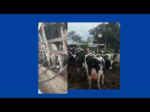 Del tambo al aula: la historia de Claudio López en Presidente Roca, Santa Fé.