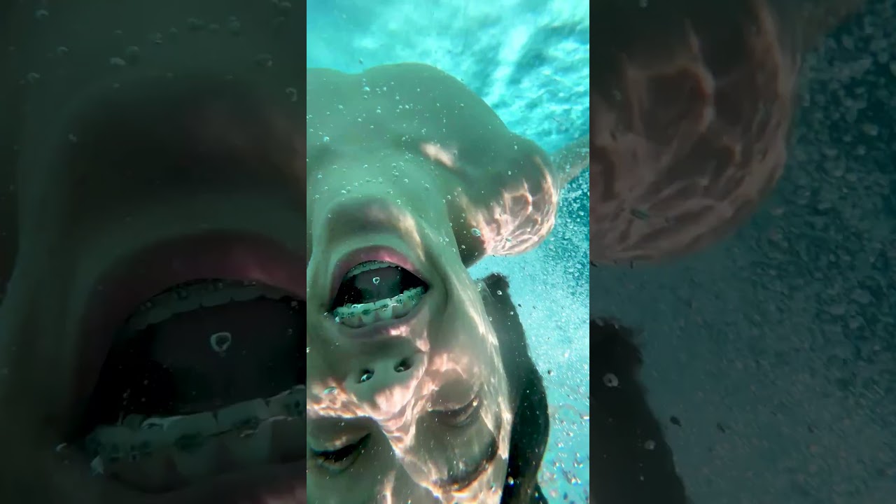 Epic Pool Jump! 💦 | Best Swimming Pool Splash Ever! #PoolJump #EpicSplash