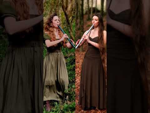 The Skye Boat Song - Tin Whistle / Low Whistle Cover with @leynarobinson-stone