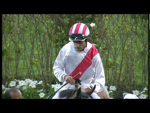 17.03.2012 Meydan (Dubai UAE) 2.Race Scene - Handicap 1.400 m