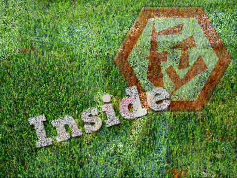 FTV1 -TV: Optimale Spielvorbereitung gegen Winterhude