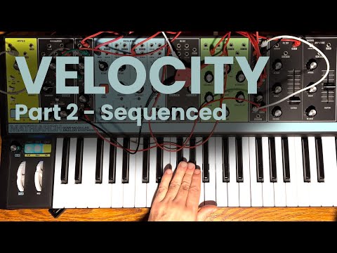 Patching Velocity on Moog Matriarch - Part 2