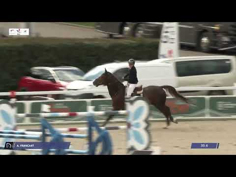 Drako de Maugre - 5e - GP 1m45 - Grand National de Vichy