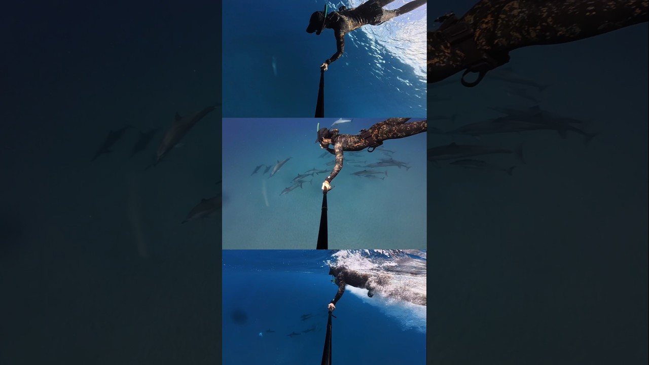 ん⁉　あれはっ！　　#aquascooter #SuperMagnum　 #shorts