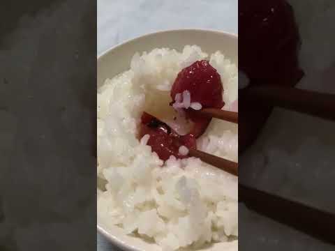 Umeboshi is a very sour food      it goes well with rice  Japanese food