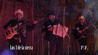 El transformer y la cobra en vivo By Feleni