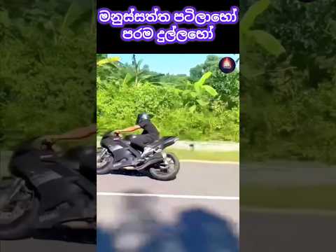 ජීවිතයක වටිනාකම නොදැනීම 😥