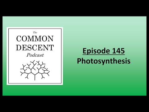 , title : 'Episode 145 - Photosynthesis