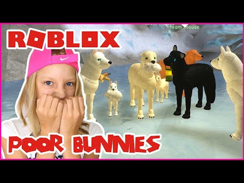 Bunzo Bunny Death "Musical Memory" - Poppy Playtime & FNF Animation