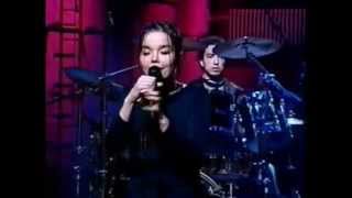 Björk - Human Behaviour (Original studio version on live video)