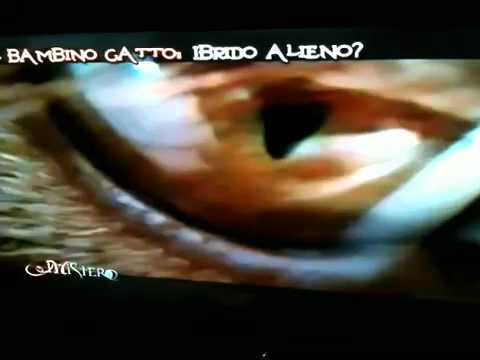 Omeopatia contro lyambliya a Sogni di vermi vomitanti