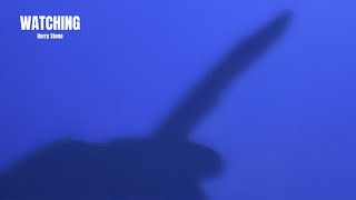 Watching - SHORT FILM