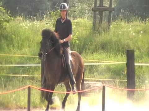 Glymmérei vom Grenzdyck  10.05.11 (2)