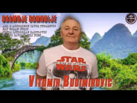 Vitomir Budimirovic DOAMNJE DOMNULJE