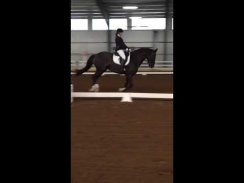Shera Solomon and Merlin 2015 BLM Championships First Level
