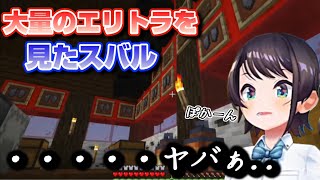 カエラ家の大量のエリトラを見て言葉を失うスバル【ホロライブ/切り抜き/大空スバル/Minecraft】