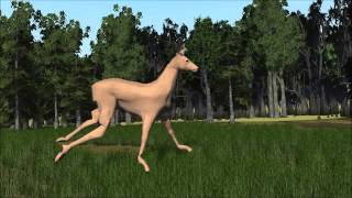 Cover art for ROEBUCK