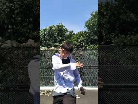 宮拳法ストッピングからカーフキック