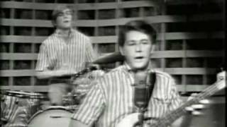 The Beach Boys-Dance Dance Dance (Live 1964)