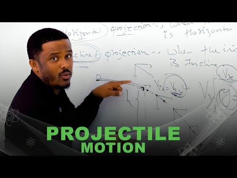 Teacher Dani Official and My seed