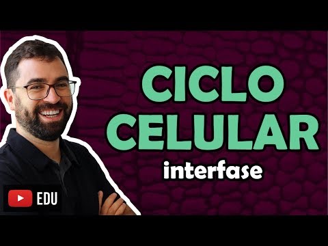 Cell Cycle: Interphase - Class 31 - Module I: Cell Biology | Prof. Gui