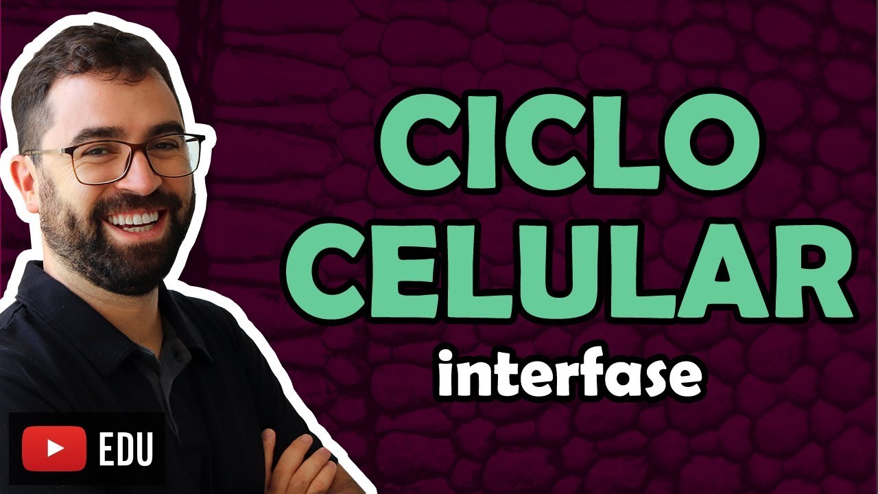 Ciclo Celular: Interfase - Aula 31 - Módulo I: Biologia Celular | Prof. Gui